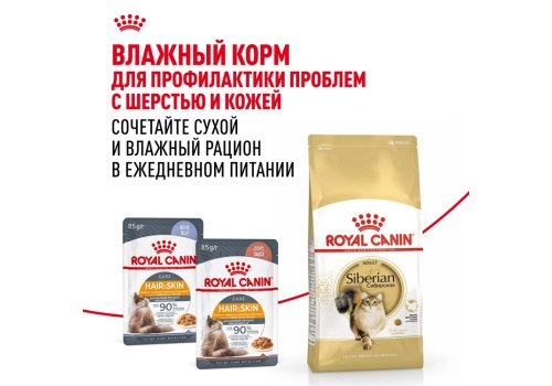 Royal Canin Breed cat Siberian / Сухой корм Роял Канин для взрослых кошек Сибирской породы старше 1 года