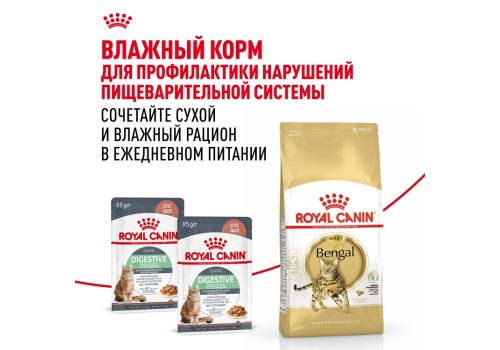 Royal Canin Breed cat Bengal / Сухой корм Роял Канин для Бенгальских кошек старше 1 года