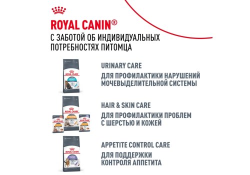 Royal Canin Breed cat Bengal / Сухой корм Роял Канин для Бенгальских кошек старше 1 года