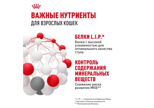 Royal Canin Indoor / Влажный корм (Консервы-Паучи) Роял Канин Индор для Стерилизованных кошек Живущих в помещении в Соусе (цена за упаковку)