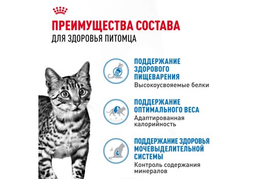 Royal Canin Indoor / Влажный корм (Консервы-Паучи) Роял Канин Индор для Стерилизованных кошек Живущих в помещении Паштет (цена за упаковку)