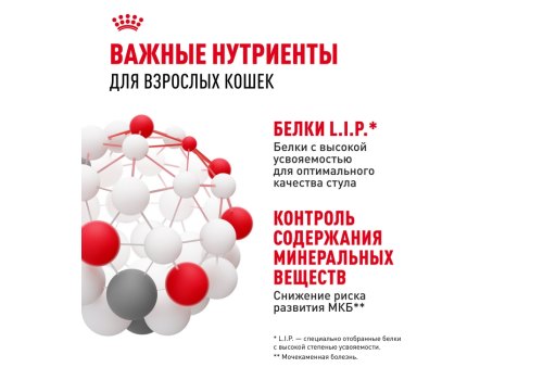 Royal Canin Indoor / Влажный корм (Консервы-Паучи) Роял Канин Индор для Стерилизованных кошек Живущих в помещении Паштет (цена за упаковку)