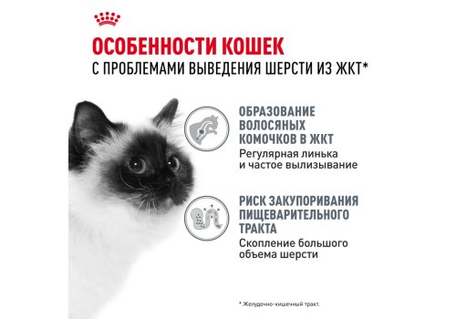 Royal Canin Hairball Care / Сухой корм Роял Канин Хэйрбол Кэа для кошек Вывод волосяных комочков