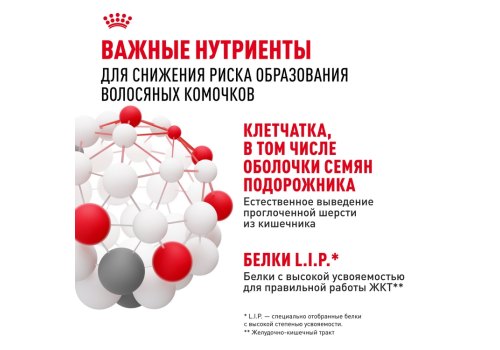 Royal Canin Hairball Care / Сухой корм Роял Канин Хэйрбол Кэа для кошек Вывод волосяных комочков