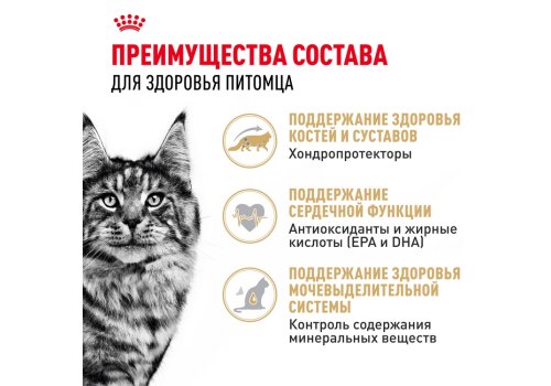 Royal Canin Breed cat Maine Coon / Сухой корм Роял Канин для Взрослых кошек породы Мэйн Кун старше 15 месяцев