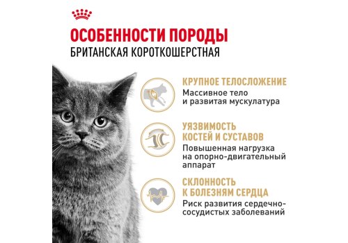 Royal Canin Breed cat British Shorthair / Сухой корм Роял Канин для Взрослых кошек породы Британская короткошерстная