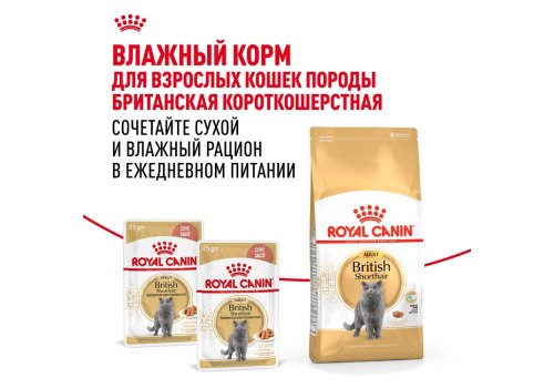 Royal Canin Breed cat British Shorthair / Сухой корм Роял Канин для Взрослых кошек породы Британская короткошерстная