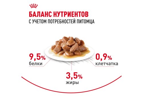 Royal Canin Digestive Care / Влажный корм (Консервы-Паучи) Роял Канин Дайджестив Кэа для кошек с Чувствительным пищеварением в Соусе (цена за упаковку)