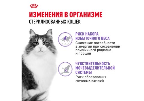 Royal Canin Sterilised Mousse Pate / Паучи Роял Канин Стерилайзд для взрослых кастрированных котов и Стерилизованных кошек Паштет (цена за упаковку)