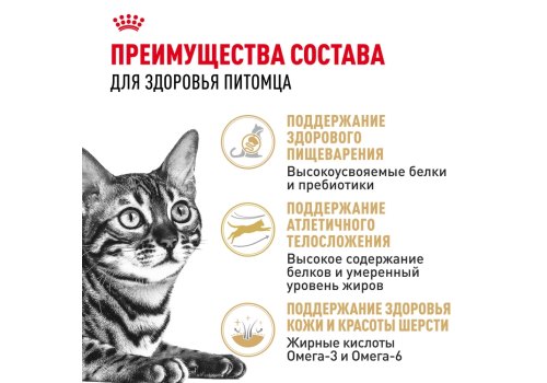 Royal Canin Breed cat Bengal / Сухой корм Роял Канин для Бенгальских кошек старше 1 года