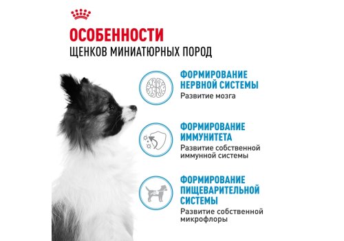 Royal Canin X-Small Puppy / Сухой корм Роял Канин Икс-Смолл Паппи для Щенков мелких пород