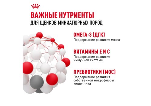 Royal Canin X-Small Puppy / Сухой корм Роял Канин Икс-Смолл Паппи для Щенков мелких пород