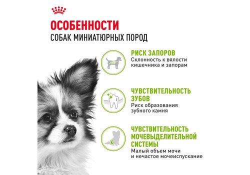 Royal Canin X-Small Adult / Сухой корм Роял Канин Икс-Смолл Эдалт для Взрослых собак мелких пород