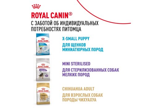 Royal Canin X-Small Adult / Сухой корм Роял Канин Икс-Смолл Эдалт для Взрослых собак мелких пород