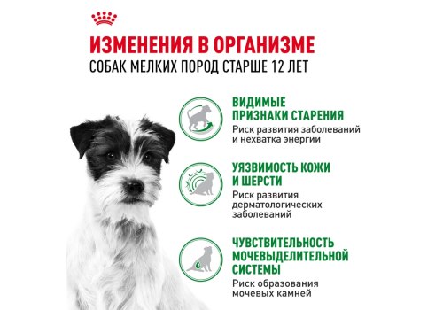 Royal Canin Mini Ageing 12+ / Влажный корм (Паучи) Роял Канин Мини Эйджинг для Пожилых собак Мелких пород весом до 10 кг старше 12 лет (Цена за упаковку)