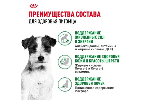 Royal Canin Mini Ageing 12+ / Влажный корм (Паучи) Роял Канин Мини Эйджинг для Пожилых собак Мелких пород весом до 10 кг старше 12 лет (Цена за упаковку)