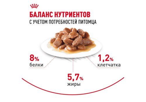 Royal Canin Mini Ageing 12+ / Влажный корм (Паучи) Роял Канин Мини Эйджинг для Пожилых собак Мелких пород весом до 10 кг старше 12 лет (Цена за упаковку)