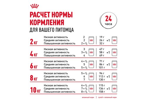 Royal Canin Mini Ageing 12+ / Влажный корм (Паучи) Роял Канин Мини Эйджинг для Пожилых собак Мелких пород весом до 10 кг старше 12 лет (Цена за упаковку)