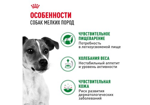 Royal Canin Mini Adult / Влажный корм (Паучи) Роял Канин Мини Эдалт для взрослых собак Мелких пород весом до 10 кг в возрасте от 10 месяцев до 8 лет (Цена за упаковку)