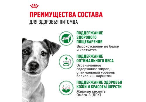 Royal Canin Mini Adult / Влажный корм (Паучи) Роял Канин Мини Эдалт для взрослых собак Мелких пород весом до 10 кг в возрасте от 10 месяцев до 8 лет (Цена за упаковку)
