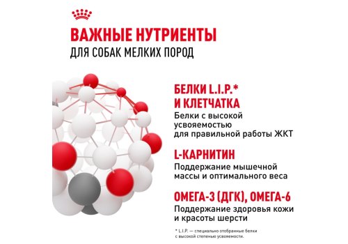 Royal Canin Mini Adult / Влажный корм (Паучи) Роял Канин Мини Эдалт для взрослых собак Мелких пород весом до 10 кг в возрасте от 10 месяцев до 8 лет (Цена за упаковку)