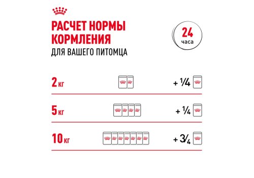 Royal Canin Mini Adult / Влажный корм (Паучи) Роял Канин Мини Эдалт для взрослых собак Мелких пород весом до 10 кг в возрасте от 10 месяцев до 8 лет (Цена за упаковку)