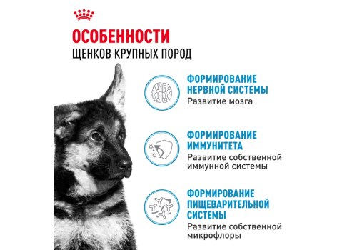 Royal Canin Maxi Puppy / Влажный корм (Паучи) Роял Канин Макси Паппи для Щенков Крупных пород в возрасте от 2 до 15 месяцев (Цена за упаковку)