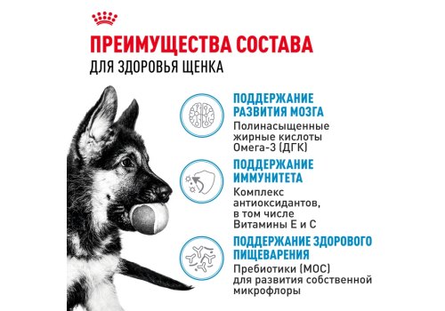 Royal Canin Maxi Puppy / Влажный корм (Паучи) Роял Канин Макси Паппи для Щенков Крупных пород в возрасте от 2 до 15 месяцев (Цена за упаковку)