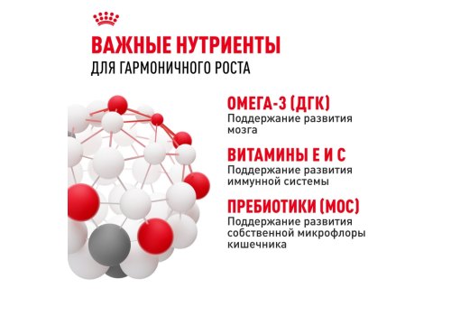 Royal Canin Maxi Puppy / Влажный корм (Паучи) Роял Канин Макси Паппи для Щенков Крупных пород в возрасте от 2 до 15 месяцев (Цена за упаковку)