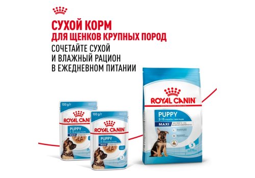 Royal Canin Maxi Puppy / Влажный корм (Паучи) Роял Канин Макси Паппи для Щенков Крупных пород в возрасте от 2 до 15 месяцев (Цена за упаковку)