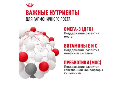 Royal Canin Medium Puppy / Влажный корм (Паучи) Роял Канин Медиум Паппи для Щенков Средних пород в возрасте от 2 до 12 месяцев (Цена за упаковку)