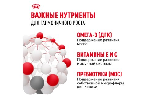 Royal Canin Mini Puppy / Влажный корм (Паучи) Роял Канин Мини Паппи для Щенков Мелких пород в возрасте от 2 до 10 месяцев (цена за упаковку)