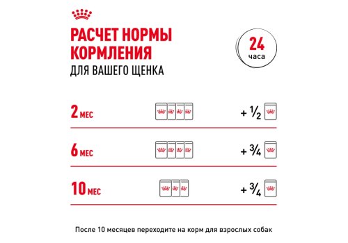 Royal Canin Mini Puppy / Влажный корм (Паучи) Роял Канин Мини Паппи для Щенков Мелких пород в возрасте от 2 до 10 месяцев (цена за упаковку)