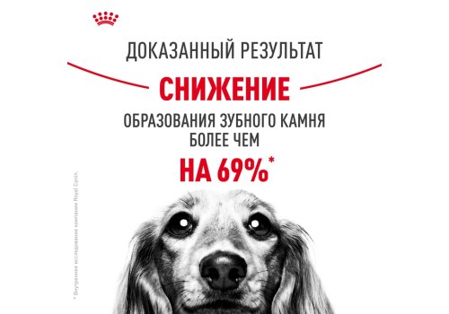 Royal Canin Mini Dental Care / Сухой корм Роял Канин Мини Дентал Кэа для собак Мелких пород весом до 10 кг Уменьшает образование зубного камня
