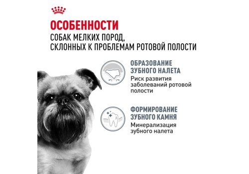 Royal Canin Mini Dental Care / Сухой корм Роял Канин Мини Дентал Кэа для собак Мелких пород весом до 10 кг Уменьшает образование зубного камня