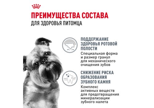 Royal Canin Mini Dental Care / Сухой корм Роял Канин Мини Дентал Кэа для собак Мелких пород весом до 10 кг Уменьшает образование зубного камня