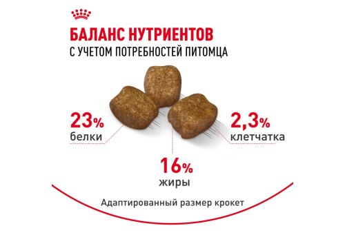 Royal Canin Mini Dental Care / Сухой корм Роял Канин Мини Дентал Кэа для собак Мелких пород весом до 10 кг Уменьшает образование зубного камня