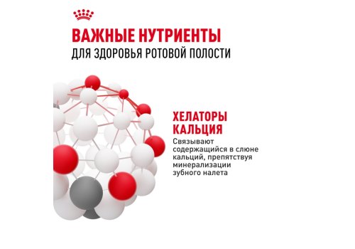 Royal Canin Mini Dental Care / Сухой корм Роял Канин Мини Дентал Кэа для собак Мелких пород весом до 10 кг Уменьшает образование зубного камня