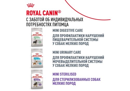 Royal Canin Mini Dental Care / Сухой корм Роял Канин Мини Дентал Кэа для собак Мелких пород весом до 10 кг Уменьшает образование зубного камня