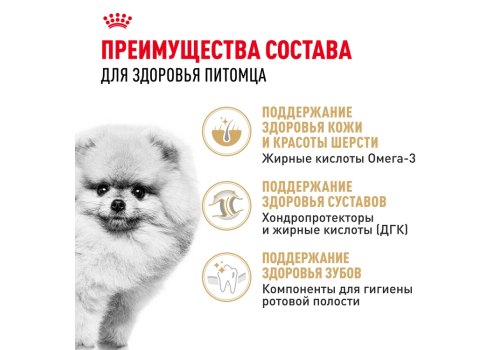 Royal Canin Breed dog Pomeranian Adult / Сухой корм Роял Канин для взрослых собак породы Померанский Шпиц от 8 месяцев и старше