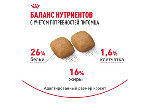 Royal Canin Breed dog Pomeranian Adult / Сухой корм Роял Канин для взрослых собак породы Померанский Шпиц от 8 месяцев и старше