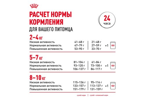 Royal Canin Breed dog Pomeranian Adult / Сухой корм Роял Канин для взрослых собак породы Померанский Шпиц от 8 месяцев и старше
