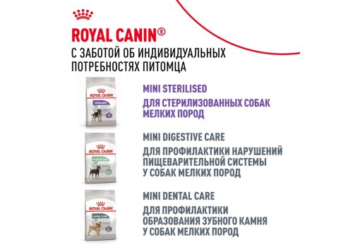 Royal Canin Breed dog Pomeranian Adult / Сухой корм Роял Канин для взрослых собак породы Померанский Шпиц от 8 месяцев и старше