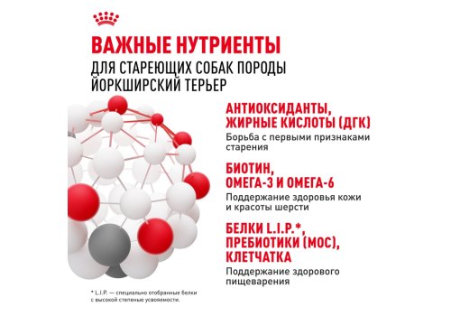 Royal Canin Breed dog Yorkshire Terrier 8+  / Сухой корм Роял Канин для Пожилых собак породы Йоркширский Терьер старше 8 лет