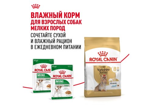 Royal Canin Breed dog Yorkshire Terrier 8+  / Сухой корм Роял Канин для Пожилых собак породы Йоркширский Терьер старше 8 лет