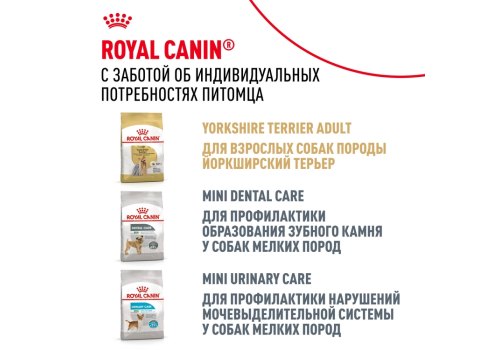 Royal Canin Breed dog Yorkshire Terrier 8+  / Сухой корм Роял Канин для Пожилых собак породы Йоркширский Терьер старше 8 лет