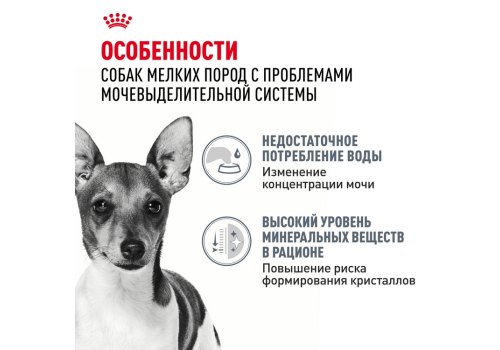 Royal Canin Mini Urinary Care / Сухой корм Роял Канин Мини Уринари Кэа для собак Мелких пород весом до 10 кг с Чувствительной Мочевыделительной системой