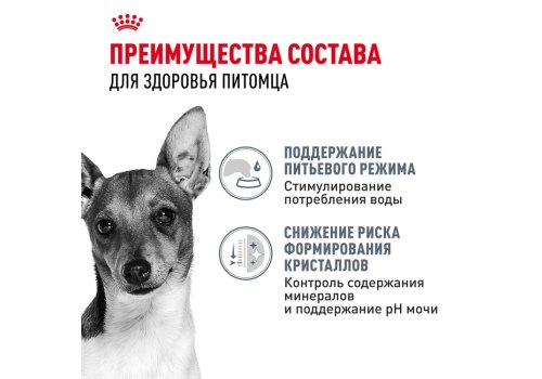 Royal Canin Mini Urinary Care / Сухой корм Роял Канин Мини Уринари Кэа для собак Мелких пород весом до 10 кг с Чувствительной Мочевыделительной системой
