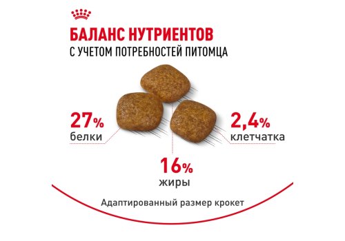 Royal Canin Mini Urinary Care / Сухой корм Роял Канин Мини Уринари Кэа для собак Мелких пород весом до 10 кг с Чувствительной Мочевыделительной системой