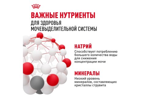 Royal Canin Mini Urinary Care / Сухой корм Роял Канин Мини Уринари Кэа для собак Мелких пород весом до 10 кг с Чувствительной Мочевыделительной системой